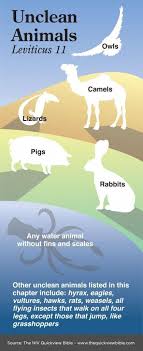Unclean Animals Leviticus 11 Clean Animals Acts 10 9 16 Do Not Call Anything Impure That God Has Made Clean Bible Facts Bible Knowledge Bible Teachings