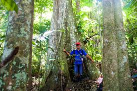 Akidah sebagai asas akidah dikira sebagai asas islam. Cerita Orang Marena Berjuang Peroleh Hak Kelola Hutan Mongabay Co Id Mongabay Co Id