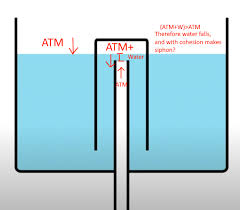 Fluid Dynamics Detailed Explanation Wanted Bell Siphon Physics Stack Exchange