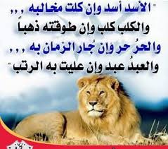 Pin By Tom On خواطر راقيه Queen Quotes Woman Quotes Funny Quotes