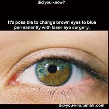 Untitled Eye Color Change Eye Color Change Surgery Change Your Eye Color