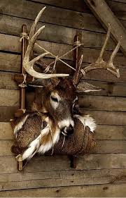 Pin By Mike Cunningham On Deer Hunting Decor In 2020 Deer Hunting Decor Hunting Cabin Decor Deer Antler Decor