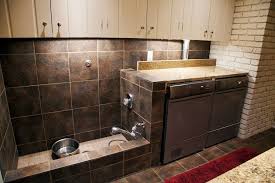 Mudroom Dog Bath Modify To Be A Full Sized Shower But Keep The Bottom Wall Raised Keep Washer Dryer As Is And My Modified Dog Washing Station Home Dog Bath