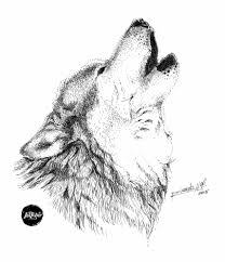 Wolf Ink Art By Ricardo Hugo Sao Paulo Brazil Ink Art Sketches Art