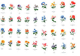 Alle jobs und stellenangebote in bamberg, bayreuth, coburg und der umgebung. Datei Meissen Blumen Vorlagen Jpg Wikipedia