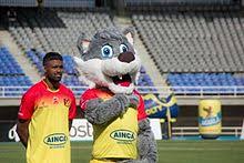 Atlético huila jaguares fc deportes quindío envigado fc alianza petrolera as 03 aug, 04:55 am Deportivo Pereira Wikipedia La Enciclopedia Libre