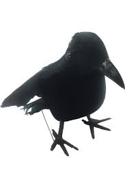 5 86 5 Black Crow Halloween Decoration Raven Bird Black Crow Halloween Decoration Raven Bird Love S Black Crow Halloween Decorations Raven Bird