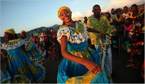 Image result for Afrobrunnichia