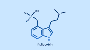 Psychedelic therapy: A primer for primary care clinicians - psilocybin