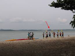 In the future, we can not abandon the need for online learning, so it must be made interesting to everyone. Pulau Sajahat Wikipedia