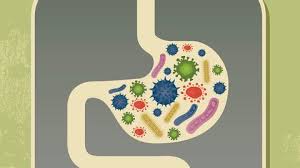 Check spelling or type a new query. Flore Intestinale Notre Premier Medicament C Est Notre Alimentation L Express Styles