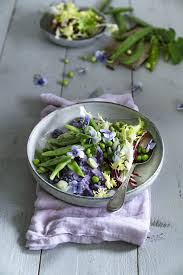 Vitelottes Puree Mit Frisee Und Dicken Bohnen Rezepte Leckeres Essen Vegetarische Kuche