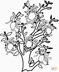 Parents may receive compensation when you click through and purchase from links contained on this website. Coloring Pages Of Fruit Trees Tree Coloring Page Coloring Pages Lemon Tree