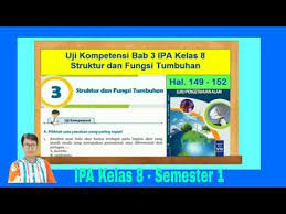 We did not find results for: Uji Kompetensi 3 Ipa Kelas 8 Bab 3 Struktur Dan Fungsi Tumbuhan Hal 149 152 Semester 1 Youtube