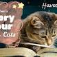 Children’s Story Hour With Cats! event image