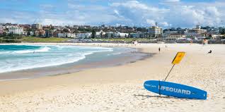 Best way to go bondi beach: Beach Cam North Bondi Rsl