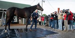 Preakness stakes odds are up for the second leg of the 2021 triple crown season. Preakness 2021 Field Of 10 Now Expected Essential Quality Won T Run