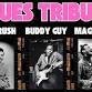 Blues Tribute - Buddy Guy •Magic Sam • Otis Rush