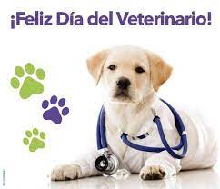 El presidente de la mesa lo es del consejo. Feliz Dia A Todos Los Veterinaria San Antonio Facebook