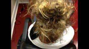 With dozens of respected stylists and treatments to choose from, now you can find the hairstyle you want at a price point you can afford. Tangled Hair Techs Hairdressers That Detangle Hair Youtube