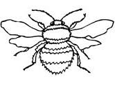 It doesn't look like other cars. Bumblebees Coloring Pages