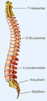 Nach einer nacht, in der sie sich hin und her gewälzt haben. Matratzen Ratgeber Hilfreiche Tipps Rund Um Das Thema Matratzen