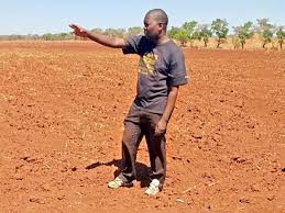 The Safety Net of Land