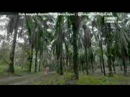 Watch the latest movies, live tv channels, popular web series and tv shows episodes all at once right here. Suri Ram Episod 10 Youtube