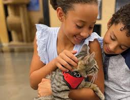 PetSmart Charities of Canada™ Annual Report 2022 by petsmartcharities