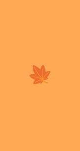 Pin On Fall