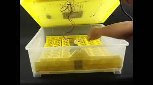 How To Use Egg Incubator Part 2 Automatic 48 Egg Hatcher Youtube I'd prefer to dry incubate at around 30% humidity but the. how to use egg incubator part 2 automatic 48 egg hatcher
