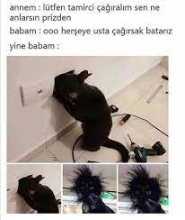 aylin gul adli kullanicinin buyuklerimden panosundaki pin komik hayvan komik seyler