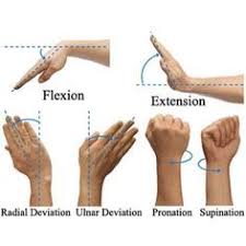 Some are blessed with a bigger bone structure. Exercises For Sore Wrists Hands Wrist Exercises Flexibility Workout Range Of Motion Exercises