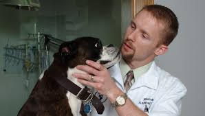 I nostri marchi sono un sinonimo di qualità. Bluestem Animal Clinic Veterinarian In El Dorado Ks Usa Services