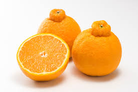 Citrus is at the peak of its season and we with fit 4 the cause could not be happier about it. A Sweet Formula For Breaking Through The Noise