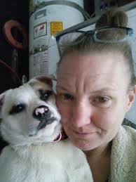 Lab puppy with pink collar