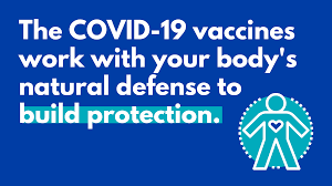 Continue wearing a mask, staying at least. Covid 19 Vaccine Communications Toolkit Region Of Waterloo