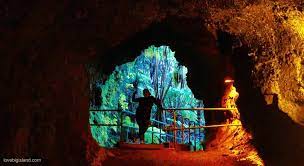 Check spelling or type a new query. Hawaii Volcanoes National Park Visitor Guide Top Attractions