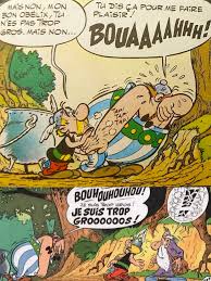 Fans d'Astérix, de René Goscinny et d'Albert Uderzo