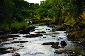 Delta comes to the guild today to see if there is any request as her normal routine. Landscape Picture Of Delta Ecohuts Kankumbi Tripadvisor