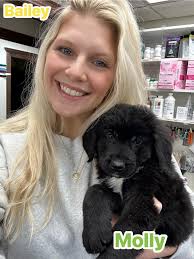 Southwind Animal Hospital