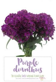 The Complete Guide To Purple Wedding Flowers Purple Flower Names Purple Wedding Flowers Wedding Flowers Light Purple Wedding Flowers