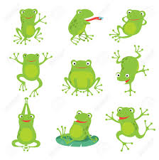 Cute Cartoon Frogs Green Croaking Toad On Lotus Leaves In Pond Royalty Free Cliparts Vectors And Stock Illustration Image 128172873 Most relevant best selling latest uploads. cute cartoon frogs green croaking toad on lotus leaves in pond