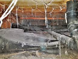 Many homes built on traditional crawl spaces in virginia and the southeast suffer from moisture control issues. Bloom Crawl Space Services Portland Oregon Vancouver Washington Bloom Crawlspace Services