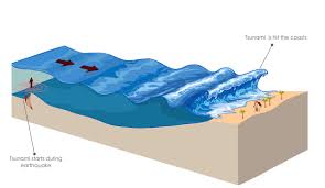 Image result for tsunami