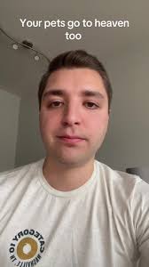 Understanding Animal Souls and Their Afterlife Connection