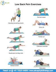 On all fours, assume a hump back position by arching the back up. Pin On Phsiotheraphy