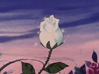 Check spelling or type a new query. Flowers Aesthetic Gifs Get The Best Gif On Giphy