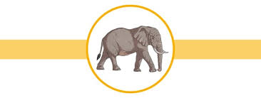 Also, it usually gives birth during the wet season. Elephant Facts For Kids Twinkl Homework Help