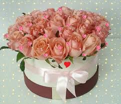 We did not find results for: Jada Www Facebook Com Bnmdnym 67 Beautiful Flowers Pictures Flowers Gif Feliz Cumpleanos Happy Birthday Spanish